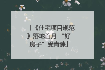 《住宅项目规范》落地首月 “好房子”受青睐