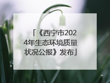 《西宁市2024年生态环境质量状况公报》发布