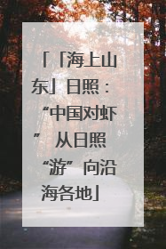 「海上山东」日照：“中国对虾” 从日照“游”向沿海各地