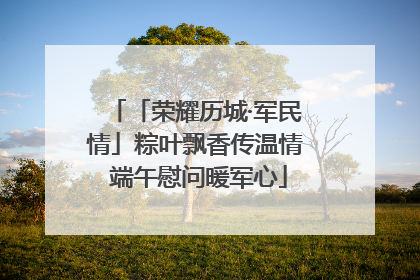 「荣耀历城·军民情」粽叶飘香传温情 端午慰问暖军心