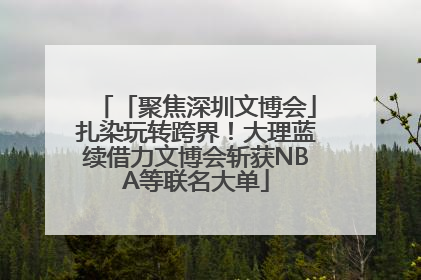 「聚焦深圳文博会」扎染玩转跨界！大理蓝续借力文博会斩获NBA等联名大单