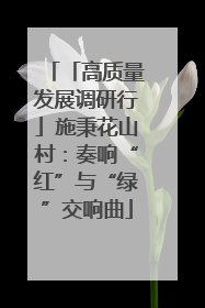 「高质量发展调研行」施秉花山村：奏响“红”与“绿”交响曲