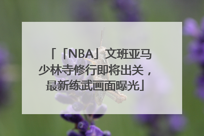 「NBA」文班亚马少林寺修行即将出关，最新练武画面曝光