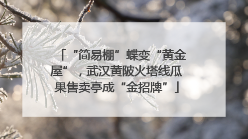 “简易棚”蝶变“黄金屋”，武汉黄陂火塔线瓜果售卖亭成“金招牌”