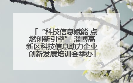 “科技信息赋能 点燃创新引擎” 淄博高新区科技信息助力企业创新发展培训会举办