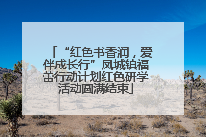 “红色书香润，爱伴成长行”凤城镇福蕾行动计划红色研学活动圆满结束