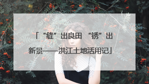 “缝”出良田 “锈”出新景——洪江土地活用记