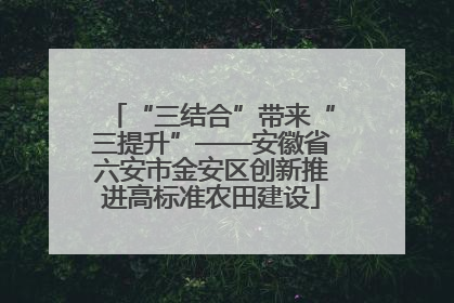 “三结合”带来“三提升”——安徽省六安市金安区创新推进高标准农田建设