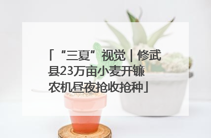 “三夏”视觉｜修武县23万亩小麦开镰 农机昼夜抢收抢种