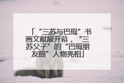 “三苏与巴蜀”书画文献展开幕，“三苏父子”的“巴蜀朋友圈”人物亮相