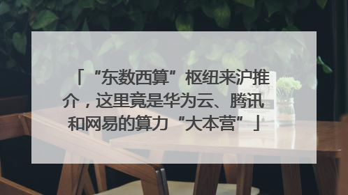 “东数西算”枢纽来沪推介，这里竟是华为云、腾讯和网易的算力“大本营”
