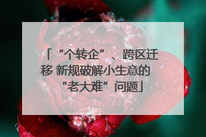 “个转企”、跨区迁移 新规破解小生意的“老大难”问题
