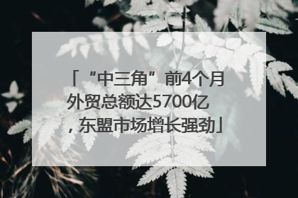 “中三角”前4个月外贸总额达5700亿，东盟市场增长强劲