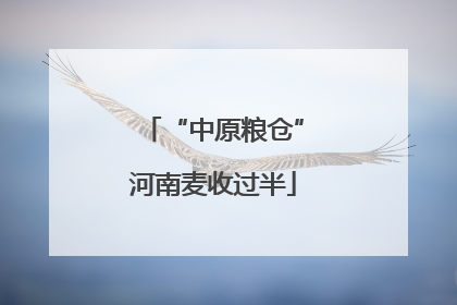 “中原粮仓”河南麦收过半