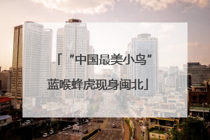 “中国最美小鸟”蓝喉蜂虎现身闽北