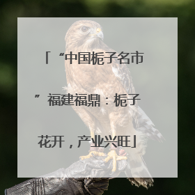 “中国栀子名市”福建福鼎：栀子花开，产业兴旺