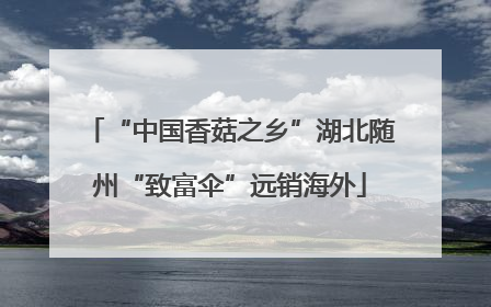 “中国香菇之乡”湖北随州“致富伞”远销海外