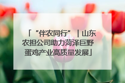 “伴农同行”｜山东农担公司助力菏泽巨野蛋鸡产业高质量发展