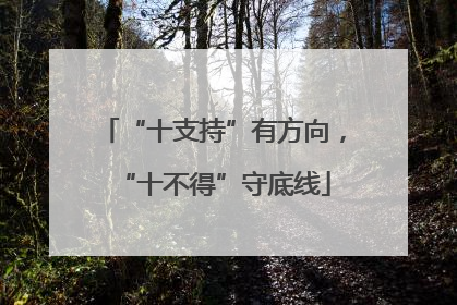 “十支持”有方向，“十不得”守底线