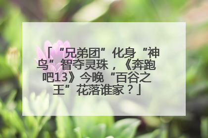 “兄弟团”化身“神鸟”智夺灵珠，《奔跑吧13》今晚“百谷之王”花落谁家？