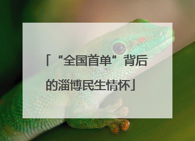 “全国首单”背后的淄博民生情怀
