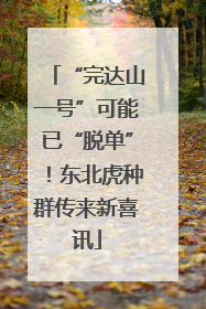 “完达山一号”可能已“脱单”！东北虎种群传来新喜讯