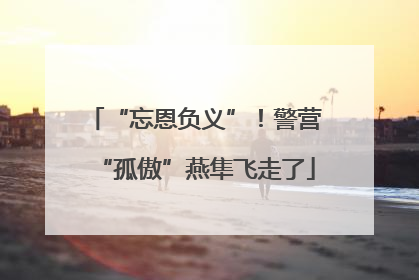“忘恩负义”！警营“孤傲”燕隼飞走了