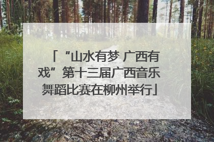 “山水有梦 广西有戏”第十三届广西音乐舞蹈比赛在柳州举行