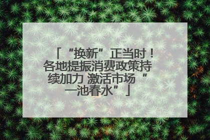 “换新”正当时！各地提振消费政策持续加力 激活市场“一池春水”