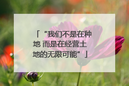 “我们不是在种地 而是在经营土地的无限可能”
