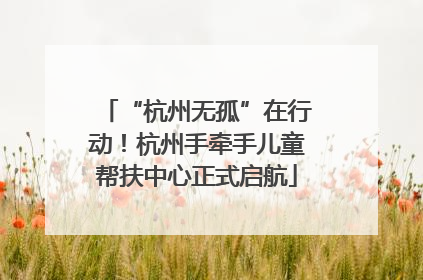 “杭州无孤”在行动！杭州手牵手儿童帮扶中心正式启航