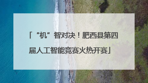 “机”智对决！肥西县第四届人工智能竞赛火热开赛