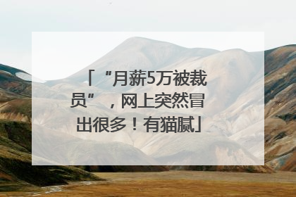 “月薪5万被裁员”，网上突然冒出很多！有猫腻
