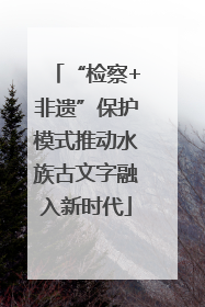 “检察+非遗”保护模式推动水族古文字融入新时代