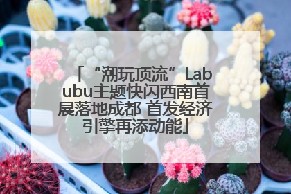 “潮玩顶流”Labubu主题快闪西南首展落地成都 首发经济引擎再添动能