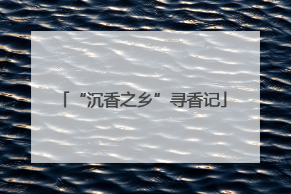 “沉香之乡”寻香记