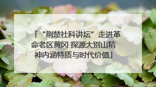“荆楚社科讲坛”走进革命老区黄冈 探源大别山精神内涵特质与时代价值