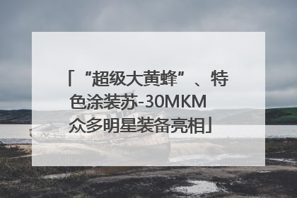 “超级大黄蜂”、特色涂装苏-30MKM 众多明星装备亮相