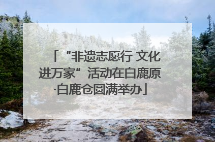 “非遗志愿行 文化进万家”活动在白鹿原·白鹿仓圆满举办