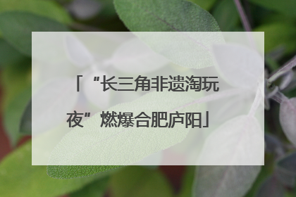 “长三角非遗淘玩夜”燃爆合肥庐阳