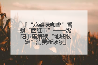 “鸡架味咖啡”香飘“西红市”——沈阳市集解锁“地域限定”消费新场景