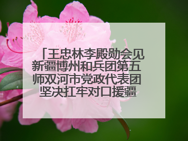王忠林李殿勋会见新疆博州和兵团第五师双河市党政代表团 坚决扛牢对口援疆重大政治责任 推动双方实现优势互补务实合作