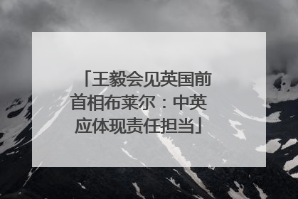 王毅会见英国前首相布莱尔：中英应体现责任担当
