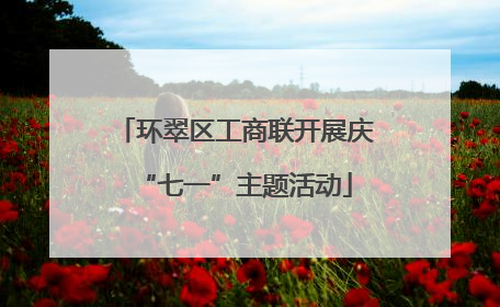 环翠区工商联开展庆“七一”主题活动