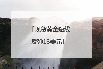 现货黄金短线反弹13美元