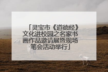 灵宝市《道德经》文化进校园之名家书画作品邀请展暨现场笔会活动举行