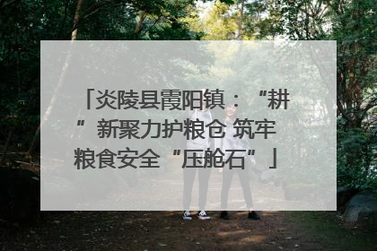 炎陵县霞阳镇：“耕”新聚力护粮仓 筑牢粮食安全“压舱石”