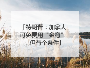 特朗普：加拿大可免费用“金穹”，但有个条件