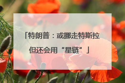 特朗普：或挪走特斯拉 但还会用“星链”