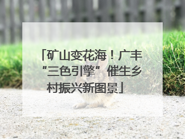 矿山变花海！广丰“三色引擎”催生乡村振兴新图景